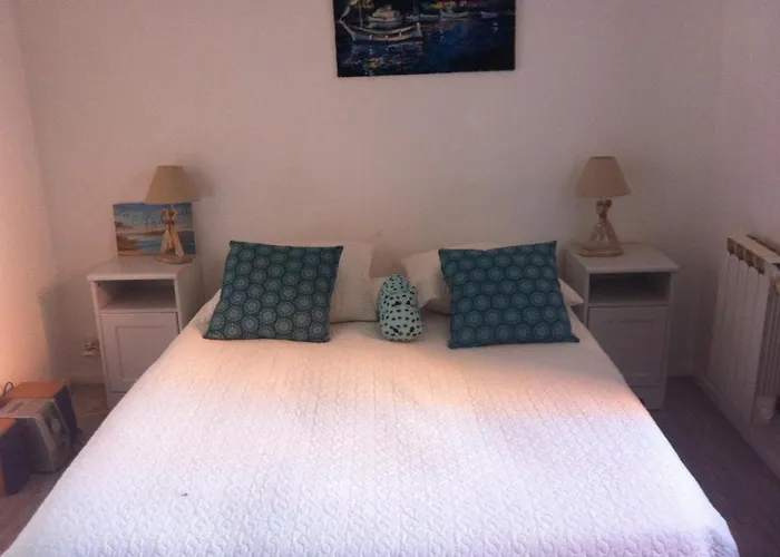 T3 Avec Grande Terrasse Vue Port Et Lejlighed